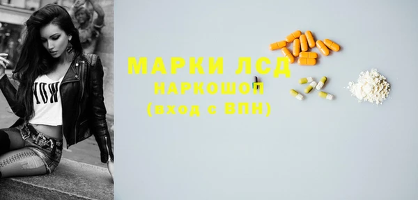 твердый Арсеньев