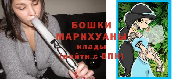 твердый Арсеньев